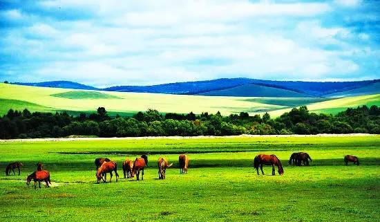 内蒙古草原之韵，人生的励志之旅